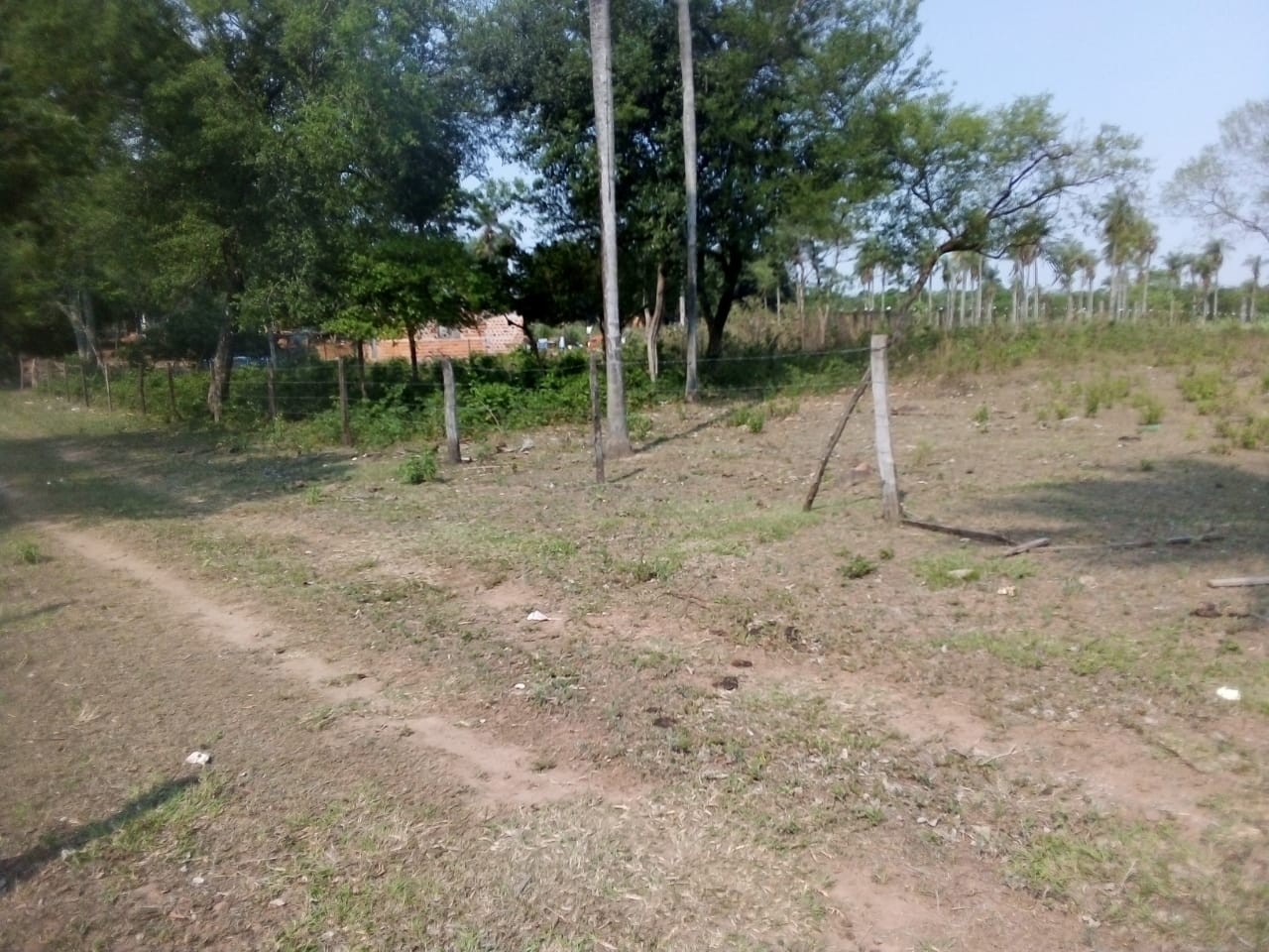 VENDO CUATRO TERRENOS EN EMBOSCADA 12X30 C/U